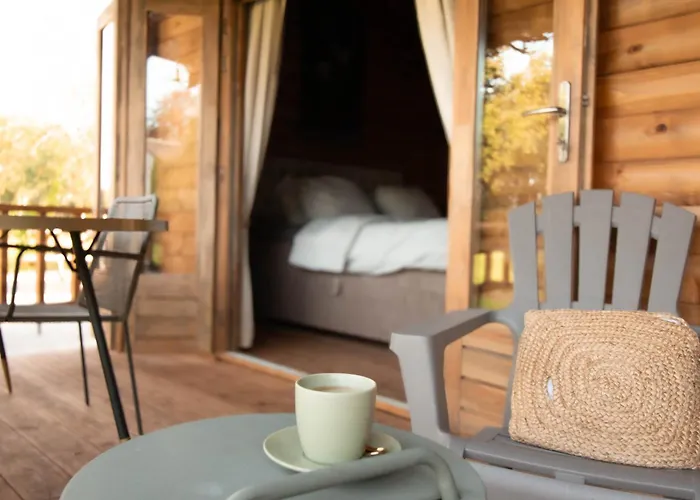 Old Deer By Neeltje Soet *