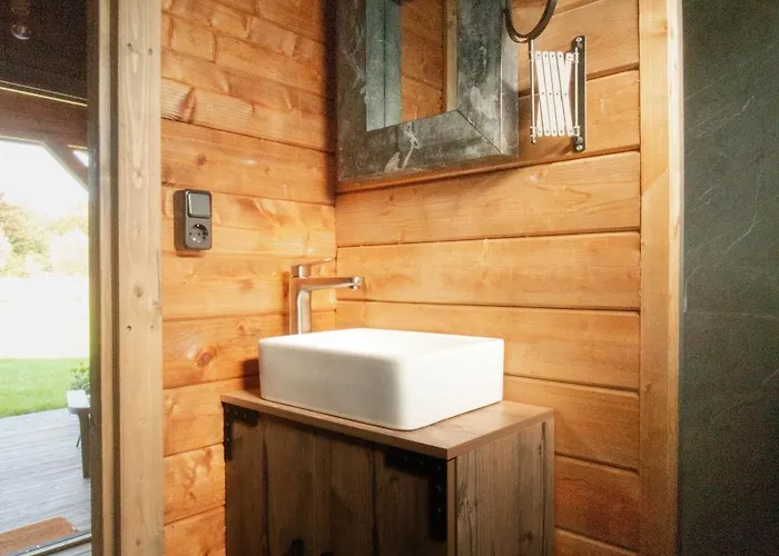 Old Deer By Neeltje Soet Chalet