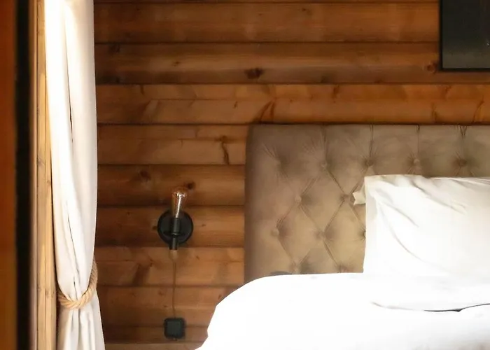 Old Deer By Neeltje Soet Chalet *