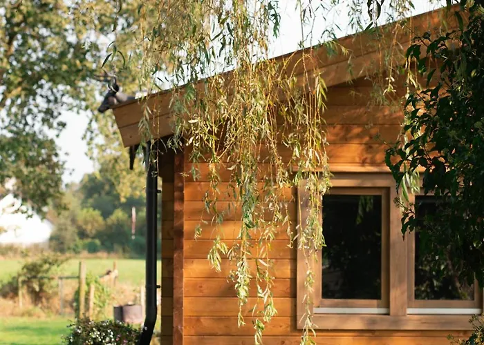 Old Deer By Neeltje Soet Chalet Mierlo