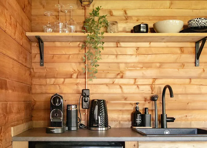 Old Deer By Neeltje Soet *