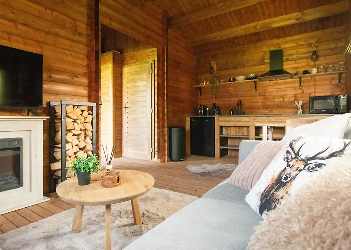 Old Deer By Neeltje Soet *