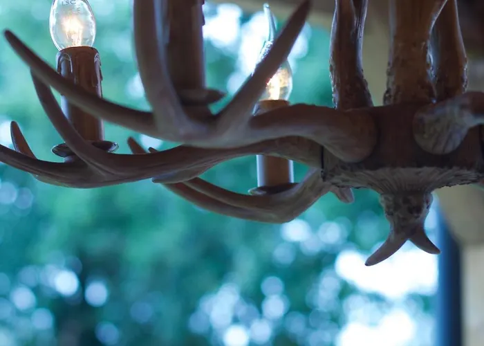 Old Deer By Neeltje Soet Mierlo